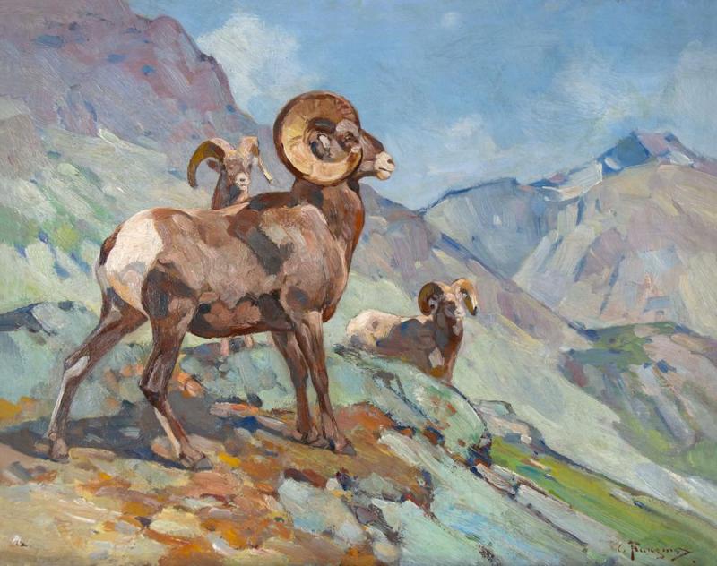 Rainbow Rams, 1945 Artwork by Carl Rungius