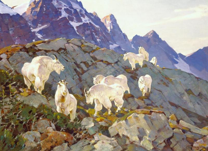 Under Pyramid Peak, C.1935 Artwork by Carl Rungius