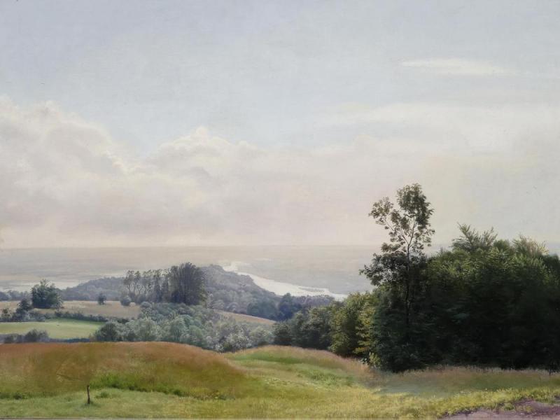 View Of The Danube From Hadersfeld Artwork by Leo Frank